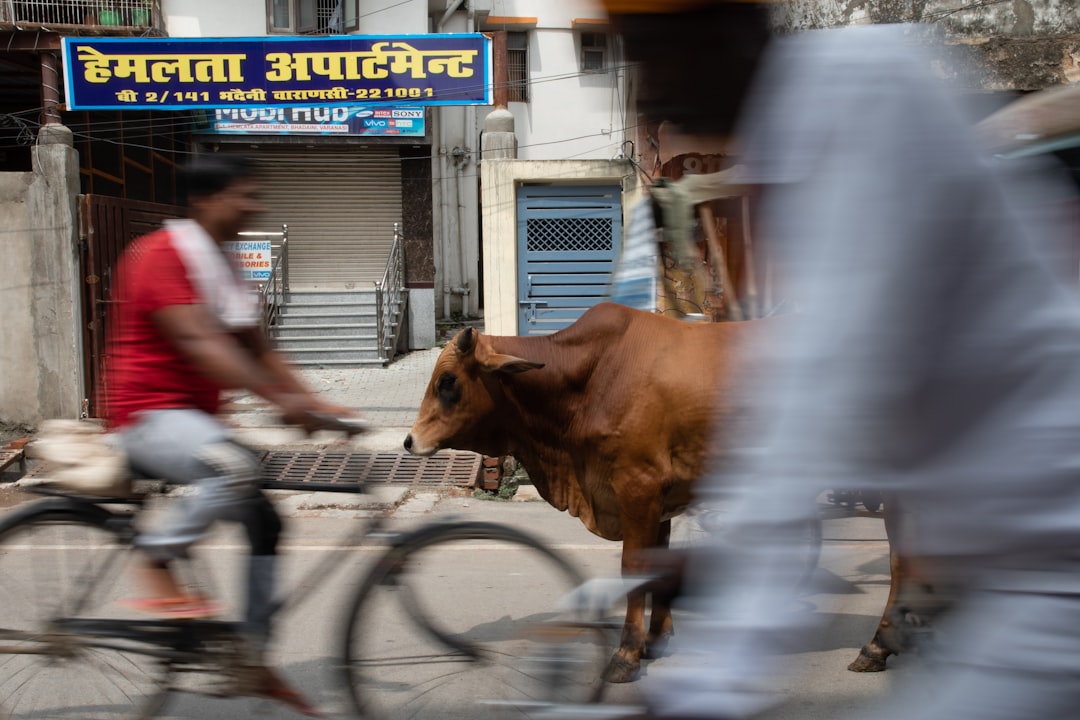 Gold-Silver: एक दिन में ₹34,000 की छलांग के बाद अब किधर जाएंगे कीमती धातु?